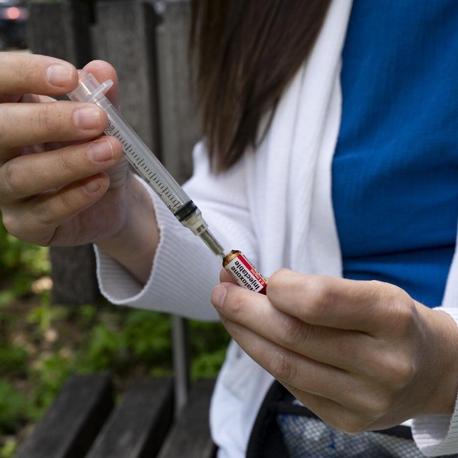 Opioid deaths drop nationally, but rise in Quebec and Newfoundland and Labrador